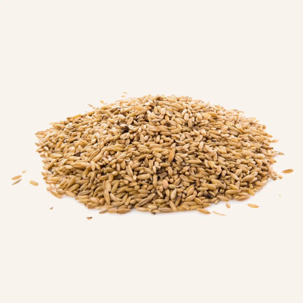 Hard White Wheat