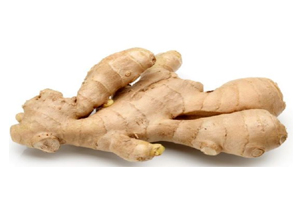 Ginger