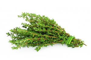 Thyme