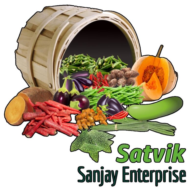 Satvik-Sanjay Enterprise