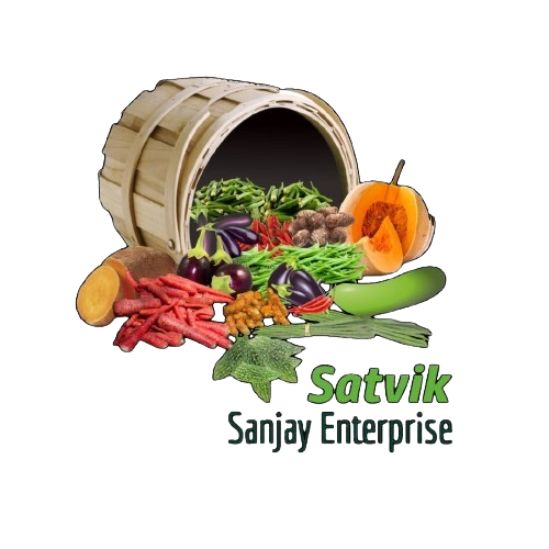 Satvik-Sanjay Enterprise